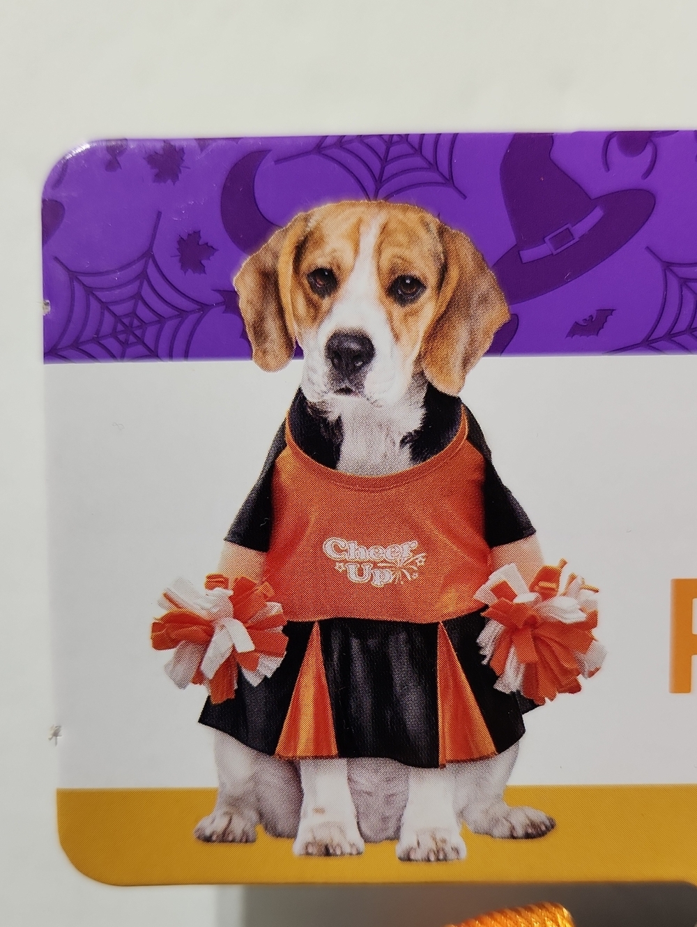 Cheerleader Pet Halloween Costume (M)